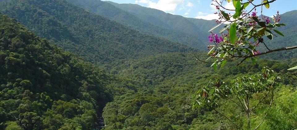 Stay In Itatiaia Itatiaia  Esterno foto